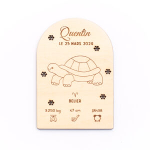 Faire-part de naissance Tortue